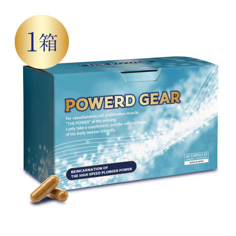 パワードギア（1箱）